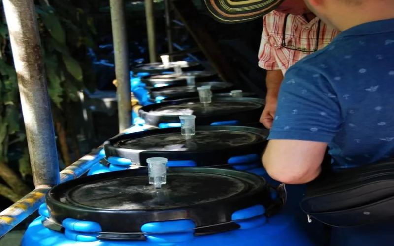 Coffee Enzyme Washed | What Is the Enzyme Washed Coffee Processing Method? How Does the Enzyme Washed Process Work? An Introduction to the Flavor and Taste Characteristics of Colombia Rose Valley Coffee