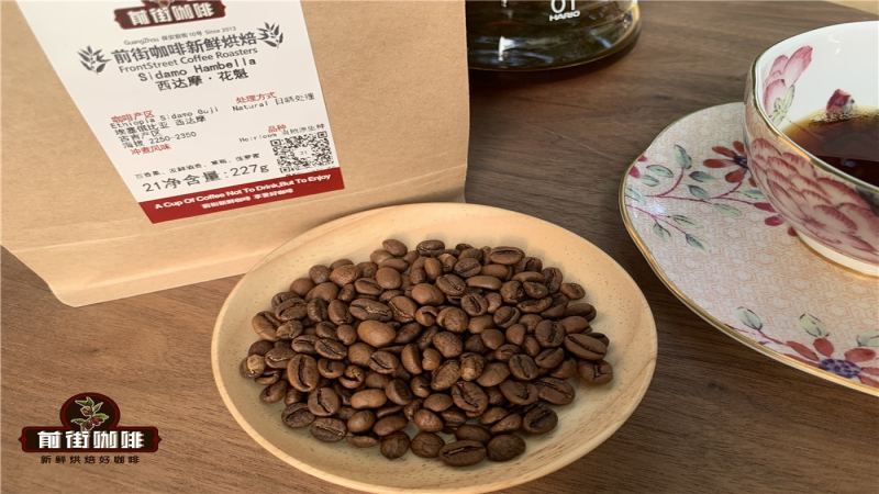 埃塞俄比亚古吉罕贝拉花魁咖啡豆风味解析与手冲参数指南
