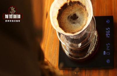 Single-Origin Coffee Opening and Resting Patterns: Capturing the Optimal Drinking Window When Bean Aromas Bloom
