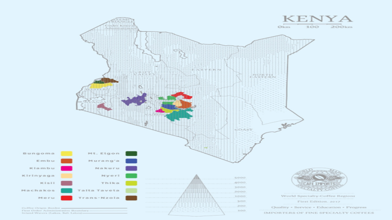A Complete Guide to Kenyan Coffee Varieties: Flavor Profiles and Pour-Over Parameters for SL28, SL34, Ruiru11, and Batian