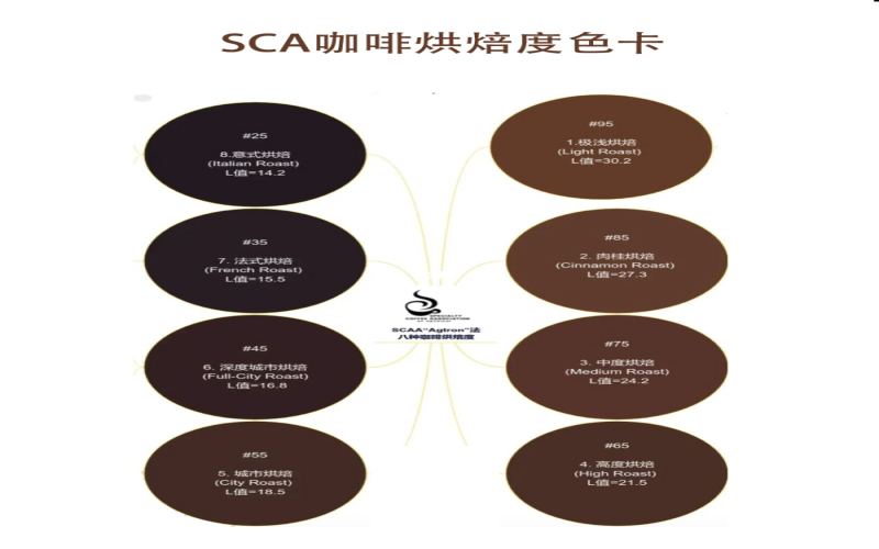 SCA色卡八级烘焙度解析：从脱水到二爆的色值与风味演变指南