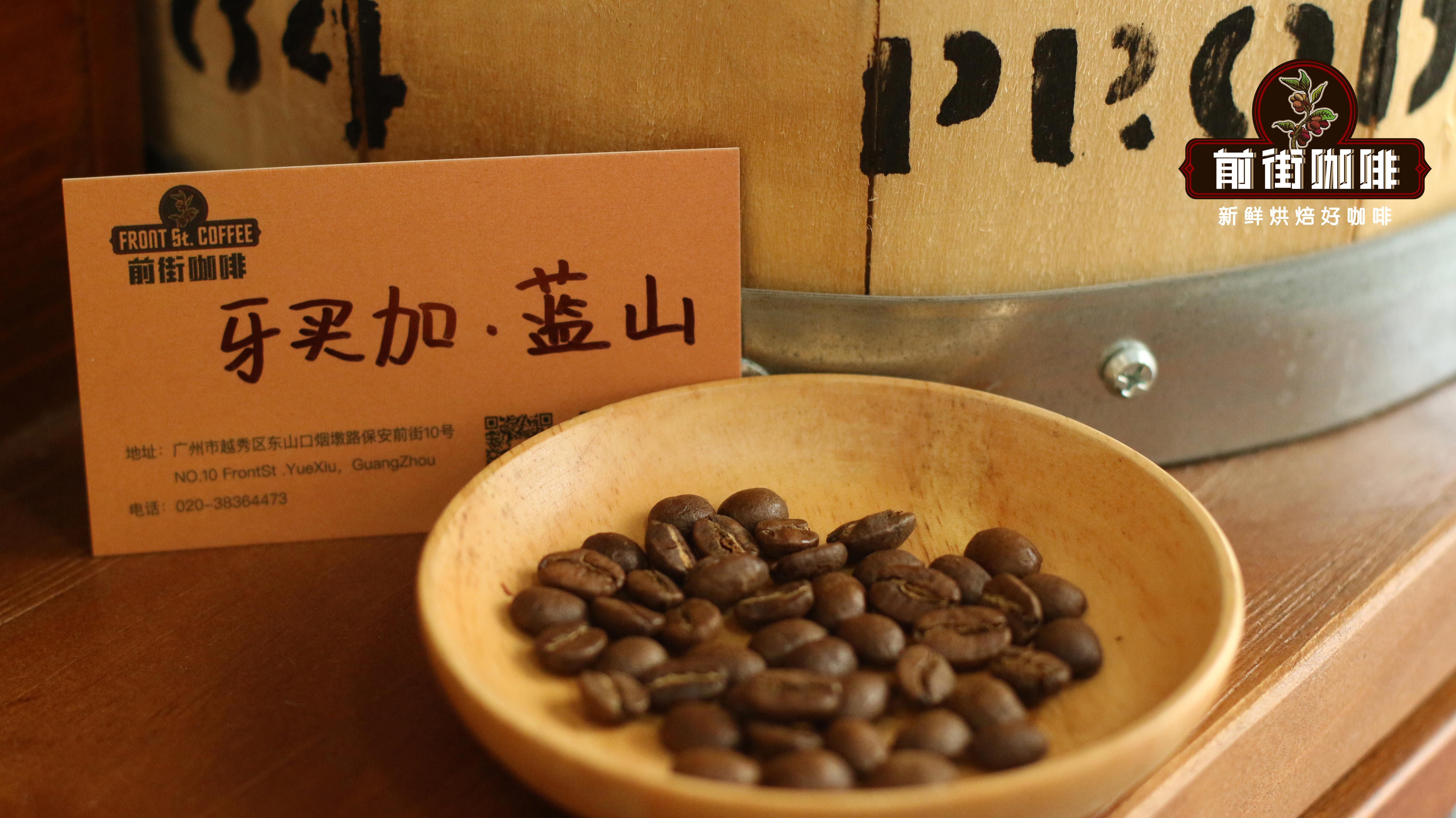 牙买加蓝山一号咖啡豆风味特征、研磨参数与价格成因全面解析