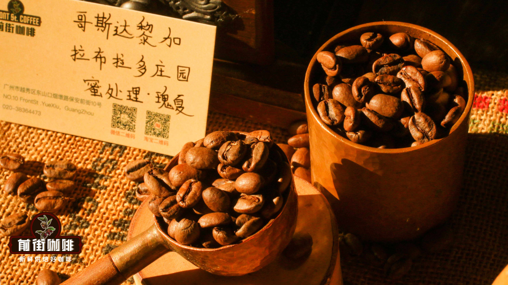 What to Know About Costa Coffee: Costa Rican Bean Flavor and Honey Processing