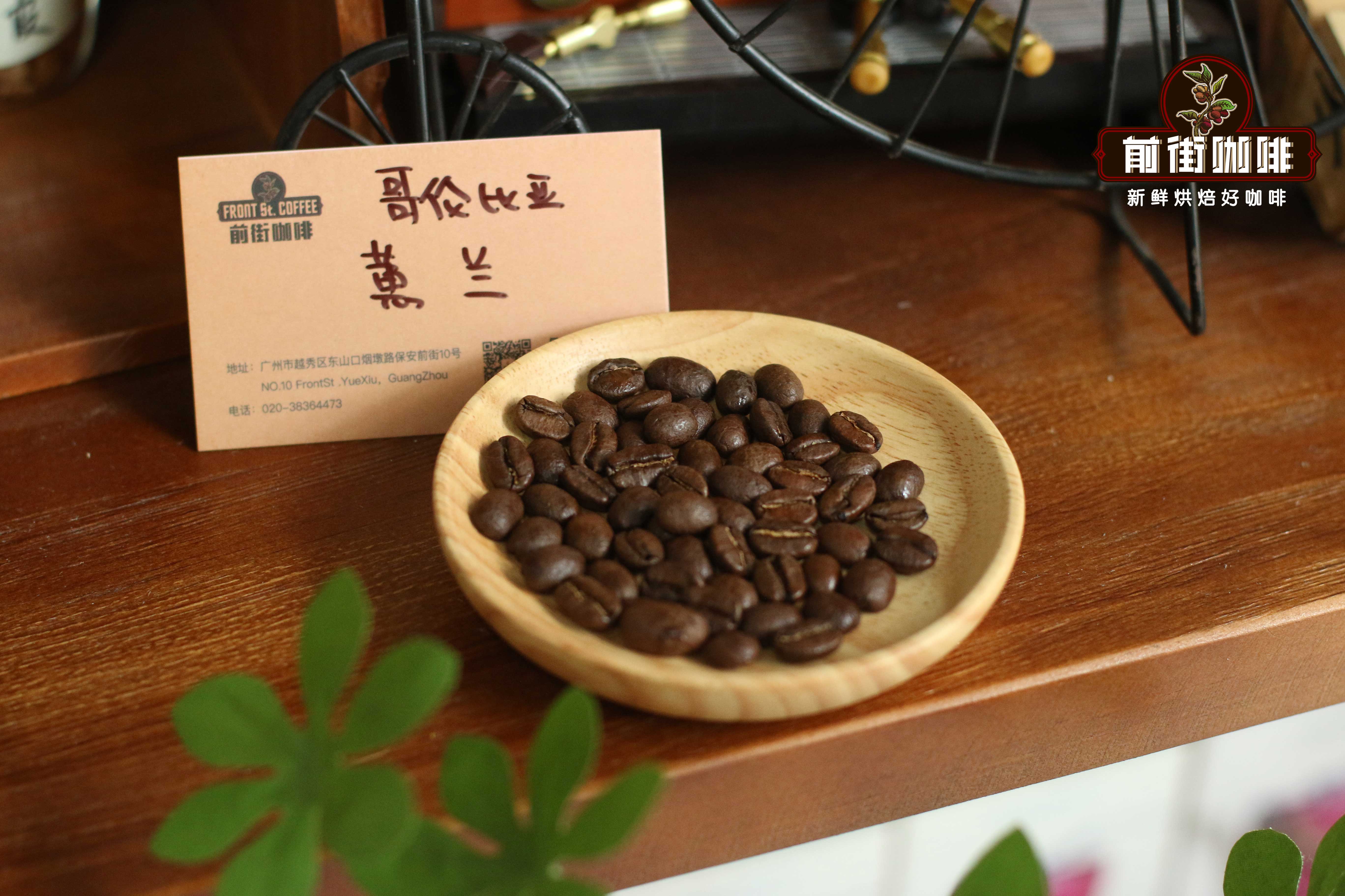 哥伦比亚粉红波旁咖啡豆的风味特质、产地背景与冲煮烘焙要点
