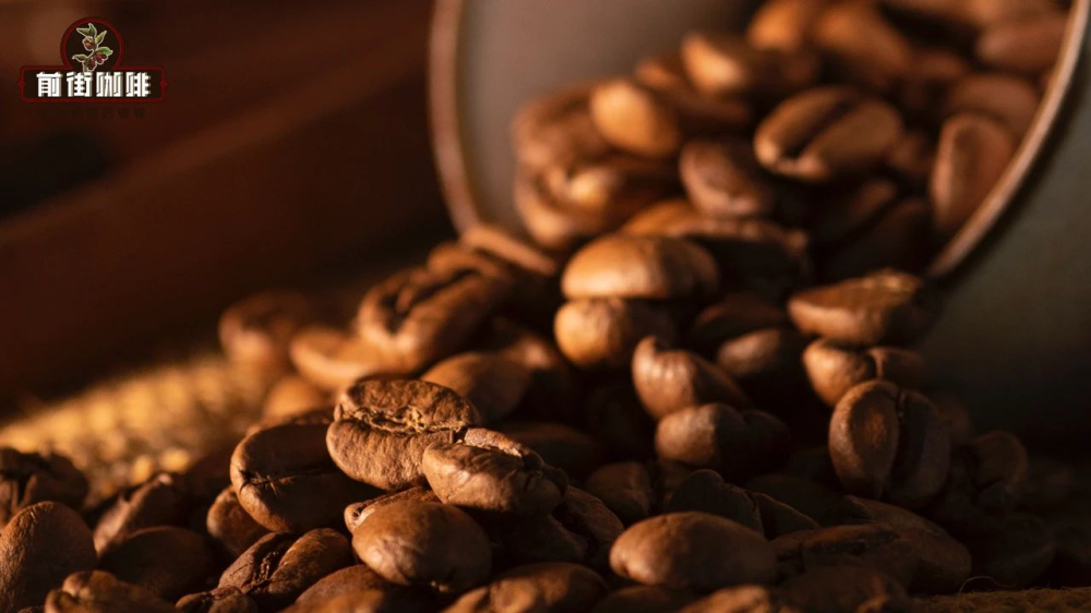 Arabica Bean Guide: The Three Native Coffee Species Explained