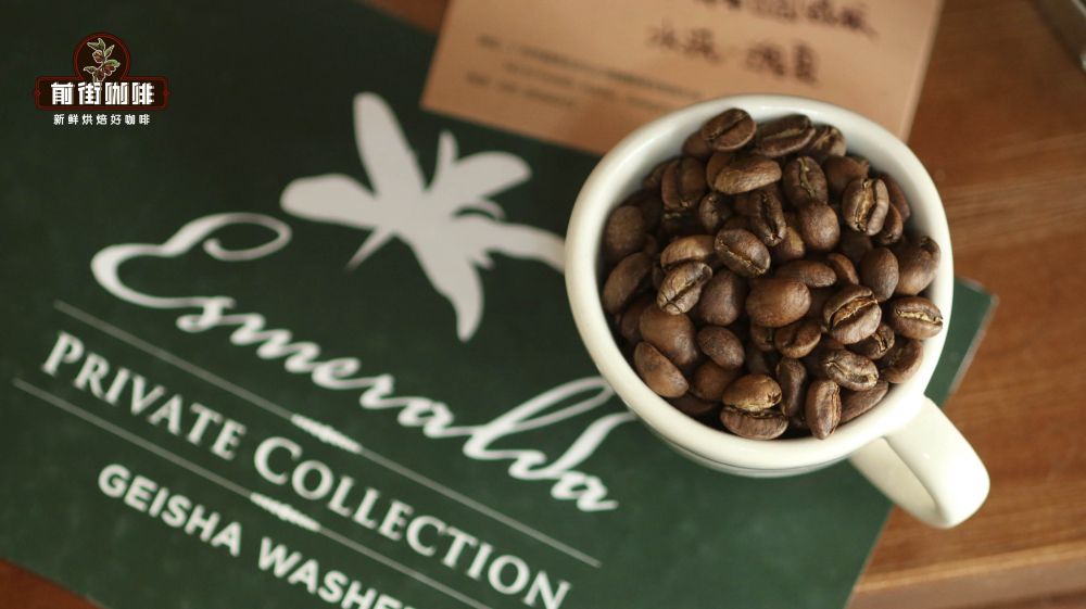 Panama Geisha Estates: La Esmeralda, Elida and Hartmann Compared