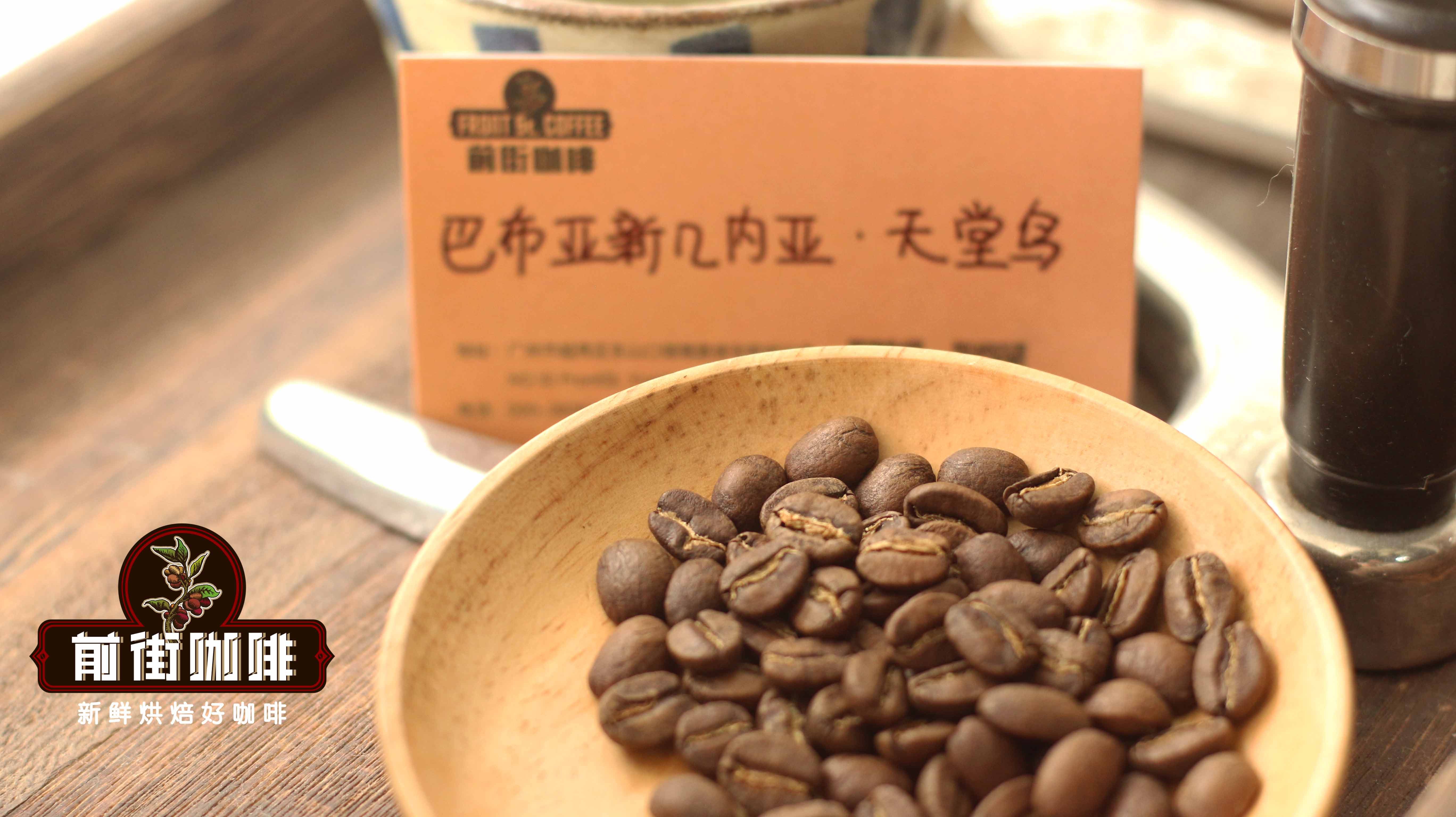 全球咖啡品种全解析：从阿拉比卡到罗布斯塔的风味、特征与处理方式