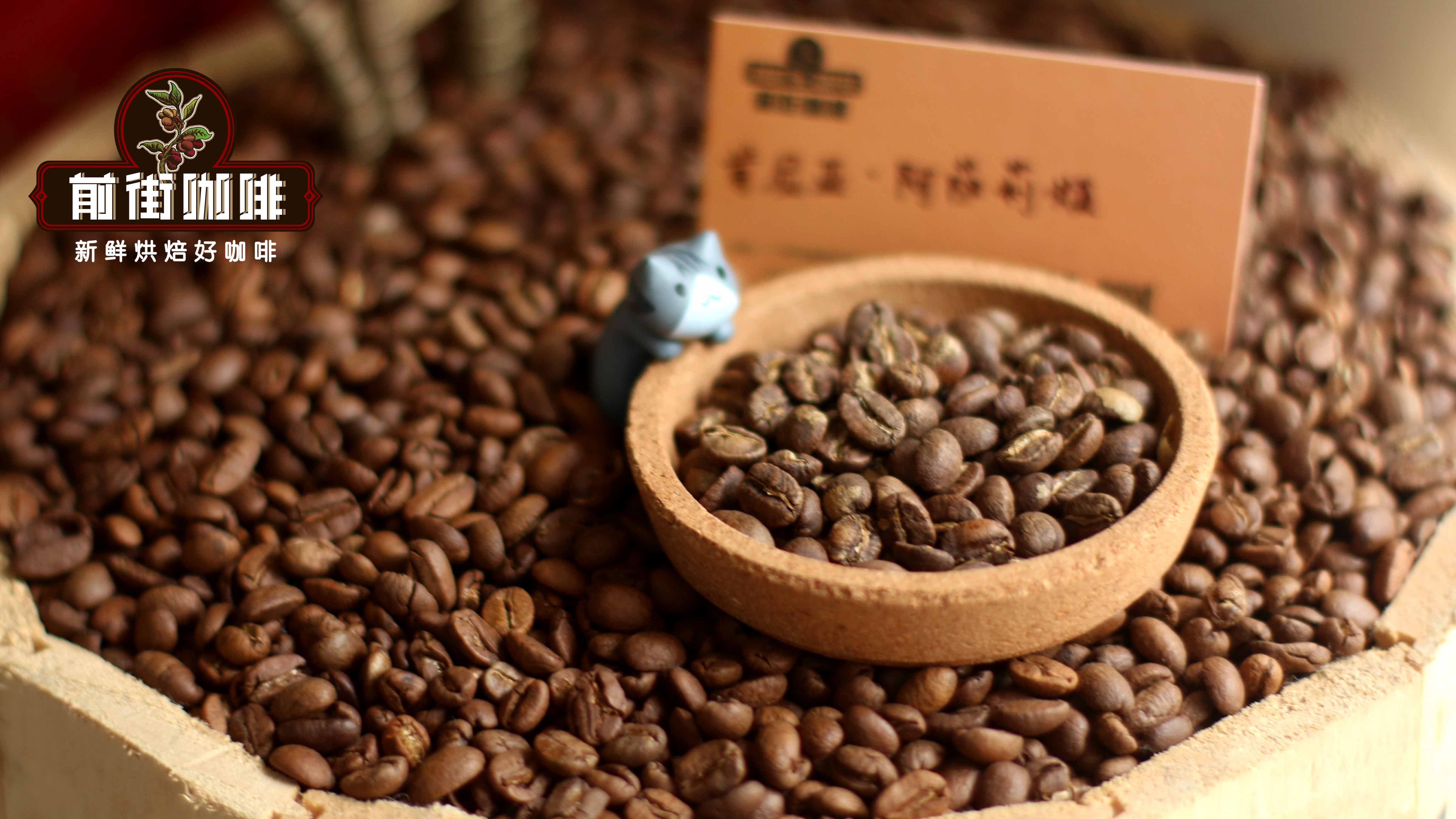 肯尼亚手冲咖啡豆品牌推荐：SL28/SL34品种风味与冲煮参数全解析