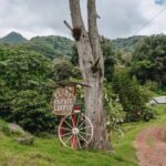 Panama Elida Estate | Introduction to the BOP Estate.