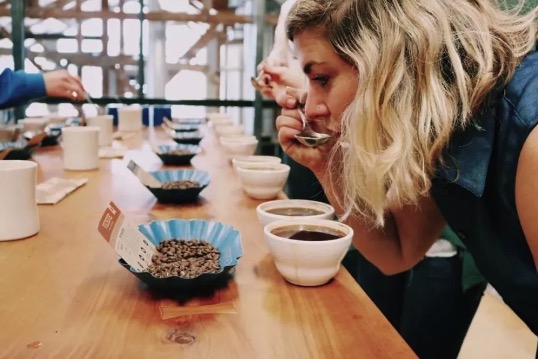 The scoring criteria for coffee cupping. SCA How to evaluate a cup of coffee.