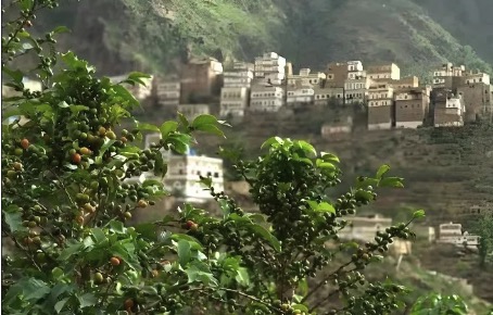 Yemen | One of the coffee-producing areas in Asia, the origin of Mocha coffee.