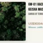 The Price of Panama BOP Geisha Reaches a New All-time High: Chinese Buyer JD Buys the BOP Geisha King for 3.4 Million RMB